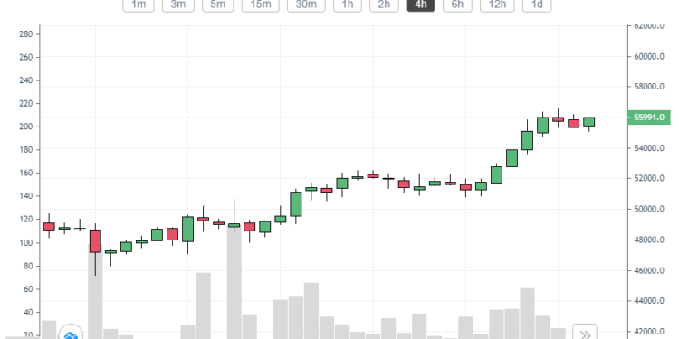 BTC and ETH prices hit new highs in week three of February