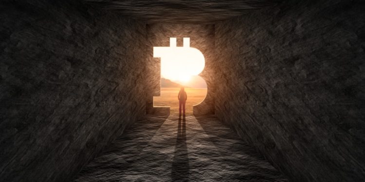 Bitcoin Surges Past $56k as Addresses Holding At Least 0.1 BTC Hit All-Time High