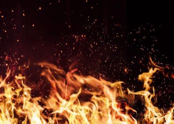 Crypto.com’s CRO Doubles On Sudden Massive Burn News