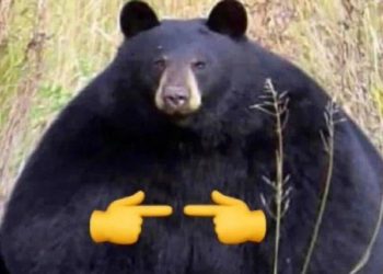 BTC Downturn, ETH Scaling, Coinbase Listing and 20 Crypto Jokes