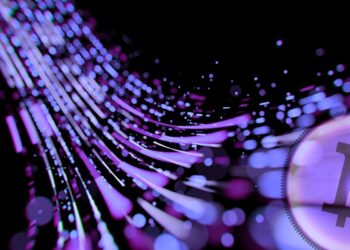 US Treasury Secretary Has Several Concerns About Bitcoin, Addresses Need for Digital Dollar