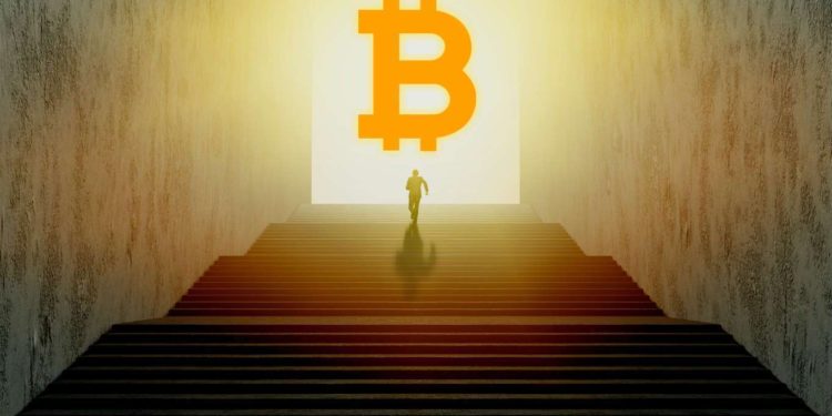 It’s Now Risky for Institutions To Not Allocate to Bitcoin, Says CoinShares CSO Meltem Demirors