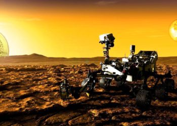 Here’s How To Avoid Getting Burned in the Altcoin Market, According to Coin Bureau