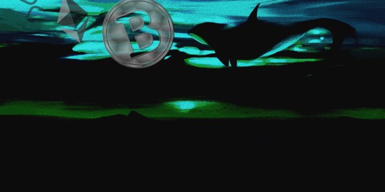 Whales Moving Millions in Bitcoin, Ethereum and XRP As BTC Hovers Below $50,000