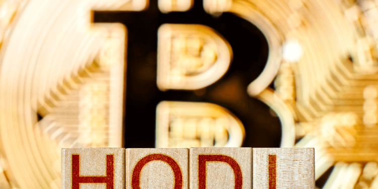 Early Investors Hodl Post-Tesla-Bitcoin Buy As Analysts Debate Hedge ‘Myth’