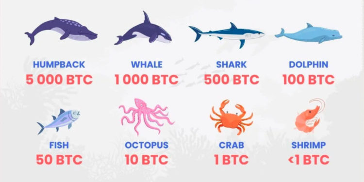 Crypto Memes Of The Week – 26 March