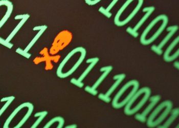 PAID Crashes on Alleged Massive Exploit News