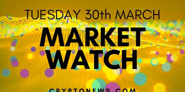 Bitcoin and Ethereum Correct Gains, Altcoins Absorb Selling Pressure