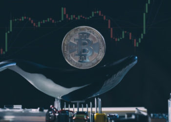 Whale Addresses Holding At Least 1,000 Bitcoin are Taking Profits
