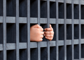 Japanese Crypto Tax Evader Hit with Year-long Jail Sentence