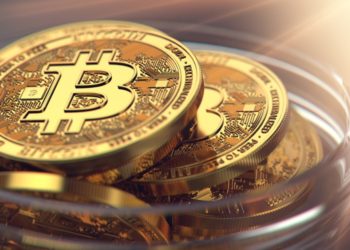 Why Early Bitcoin Investors “Were not as Lucky” – Crypto Advocate