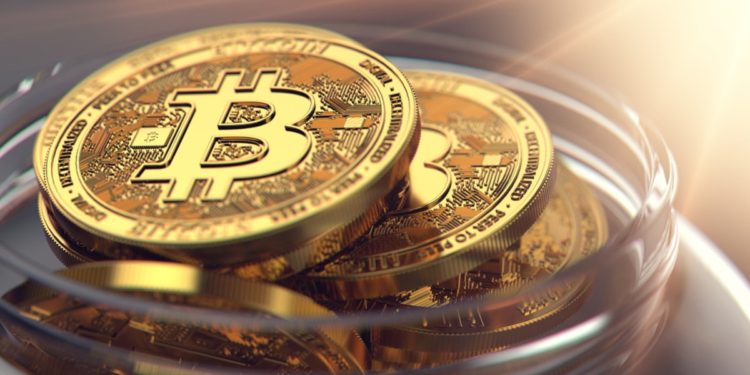 Why Early Bitcoin Investors “Were not as Lucky” – Crypto Advocate