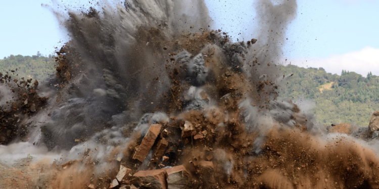 Cardano’s ADA Explodes 19% as Bitcoin Stagnates, NFT Craze Booms