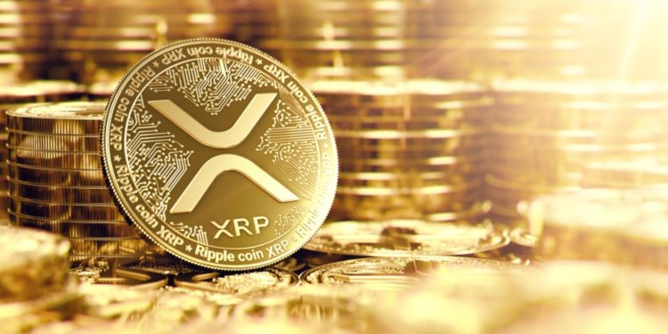 Kraken CEO Reveals Why It Is a Huge Risk for Crypto Exchanges to List XRP