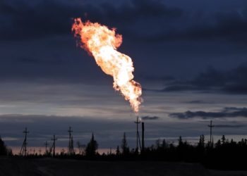 Cryptos and NFTs Take Their Foot off the Gas