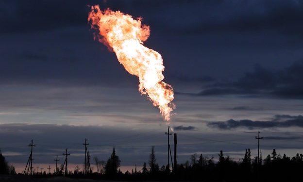 Cryptos and NFTs Take Their Foot off the Gas