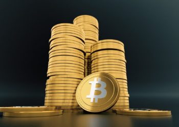Survey Shows 49% Of Money Invested Into Bitcoin Would Have Gone Into