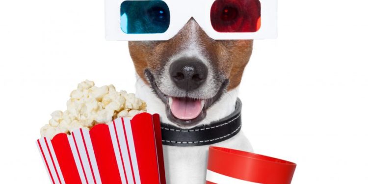 Analyst Claims It’s “Showtime” For Ethereum