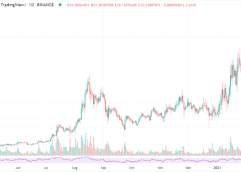 Top 5 Altcoins to Invest in the Coming Year