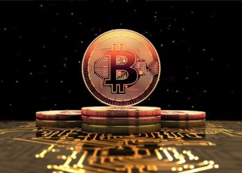 Vast Majority of Accredited Investors Plan To Buy Cryptocurrency This Year: Survey