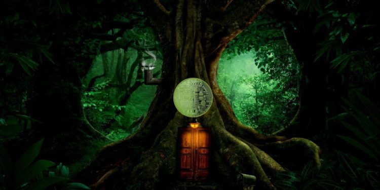 This Little-Known Altcoin Could Attract Insane Amount of Liquidity, Says Crypto Trader Elliot Wainman