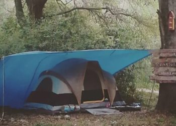 Bitcoin Funded Charity Buys Land Called “Satoshi Forest” To Support