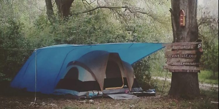 Bitcoin Funded Charity Buys Land Called “Satoshi Forest” To Support