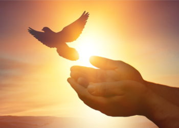 Ethereum Dips Below $1,800, Why Bulls Are Still In Control