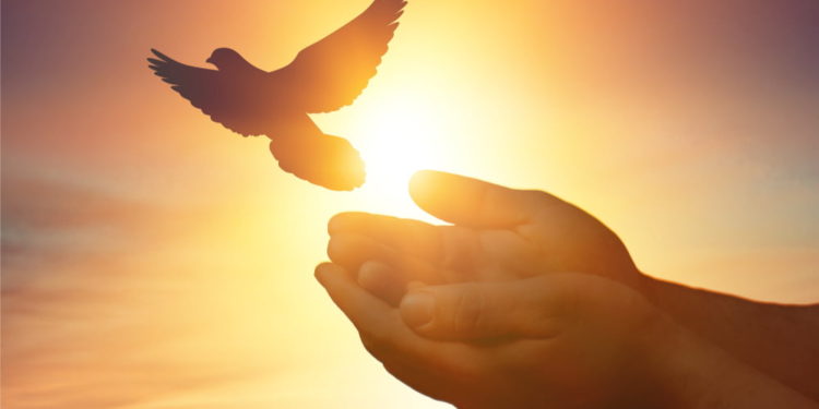 Ethereum Dips Below $1,800, Why Bulls Are Still In Control