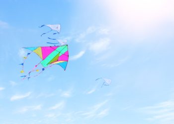 Ripple (XRP) Consolidates Gains, Why It Could Revisit $0.60