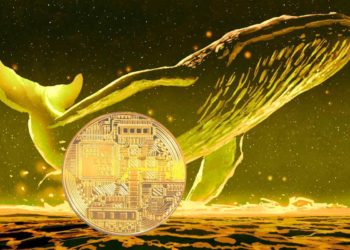 Crypto Whales Are Quietly Accumulating These Three Altcoins, According to Analytics Firm Santiment