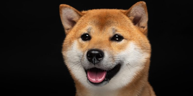 Dogecoin Becomes the 8th Largest Cryptocurrency After a Tremendous 313% Weekly Gain