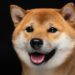 Dogecoin Becomes the 8th Largest Cryptocurrency After a Tremendous 313% Weekly Gain