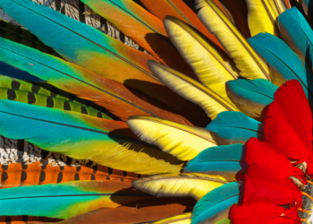 More Users Flock to Crypto in Argentina, Peru