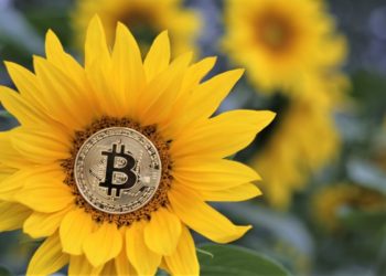 Bitcoin Market Changed ‘Radically’ & Volatility Decline Attracts Institutions