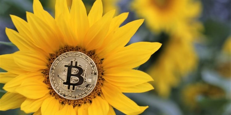 Bitcoin Market Changed ‘Radically’ & Volatility Decline Attracts Institutions