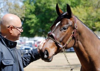 Billionaire Australian Racehorse Investor Breaks Ties After Frozen Prize