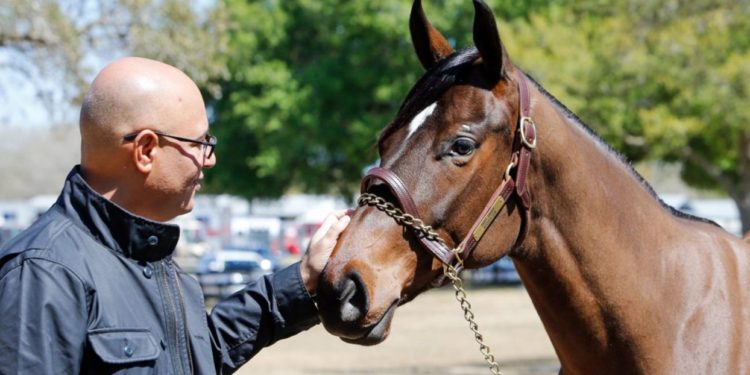 Billionaire Australian Racehorse Investor Breaks Ties After Frozen Prize