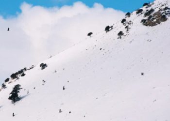 How Avalanche’s bridge to ETH and BTC could take over DeFi