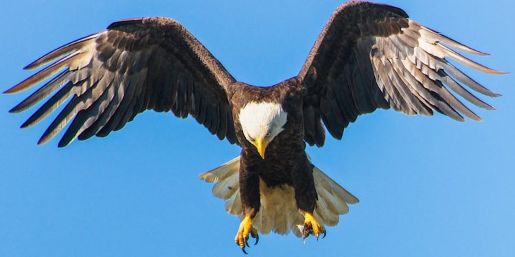 This Is How Cardano’s First DEX Will Try To Disrupt DeFi