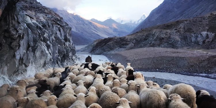 Is Crypto Ready For The Incoming Herd