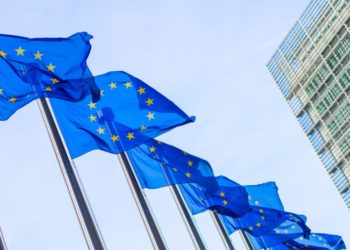ECB Publishes Results of Its Digital Euro Public Consultation