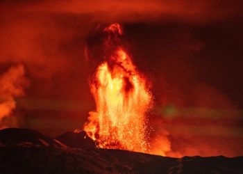 OlympusDAO Fundamentals Explode, How OHM Holders Benefit