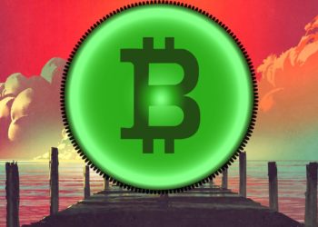 No Turning Back As Bitcoin and Crypto Set To Replace Current Financial System, Says Coin Bureau