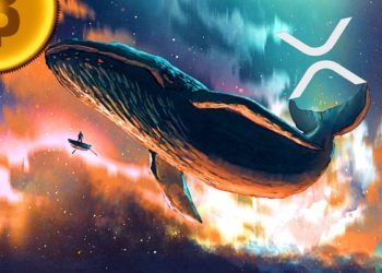 Bitcoin and XRP Whales Are in Buy Mode, Five Altcoins Appear Ready To Rally: Santiment