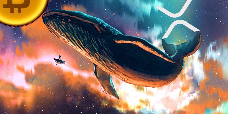 Bitcoin and XRP Whales Are in Buy Mode, Five Altcoins Appear Ready To Rally: Santiment