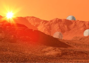 Top Analyst Michaël van de Poppe Buying These 3 Cryptos As Altseason Imminent