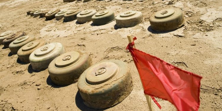 Traders Issue Warnings as Alts are Booming and Bitcoin Consolidates