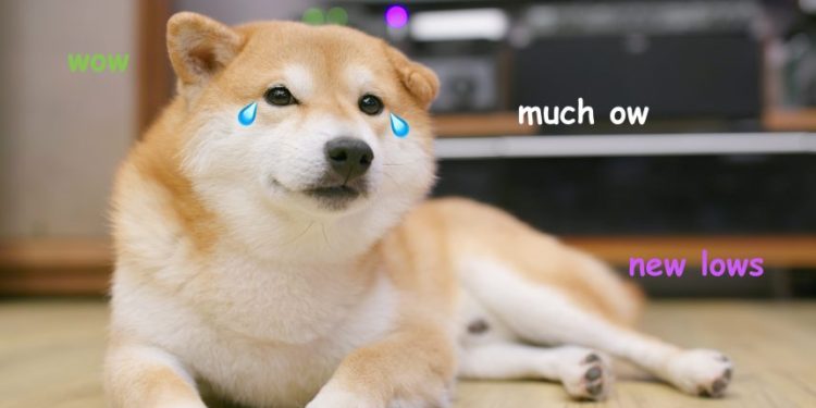 The Two Signals That Say Dogecoin Holders Are In For “Much Ow”