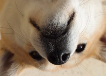 The Good, Bad, And The Ugly